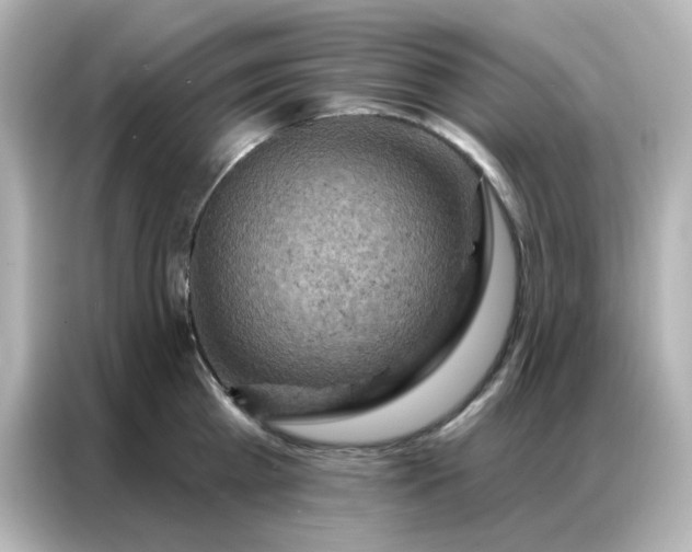 X0000087000809200704301356