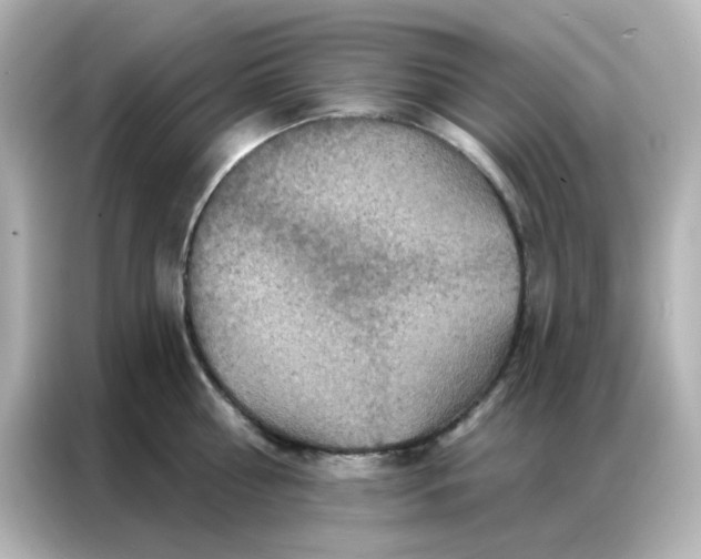 X0000087000810200704301356