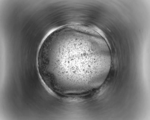X0000087000811200704301356