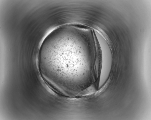 X0000087000812200704301356