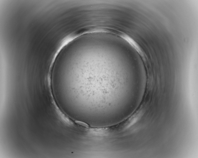 X0000087000813200704301356