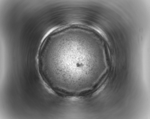 X0000087000814200704301356