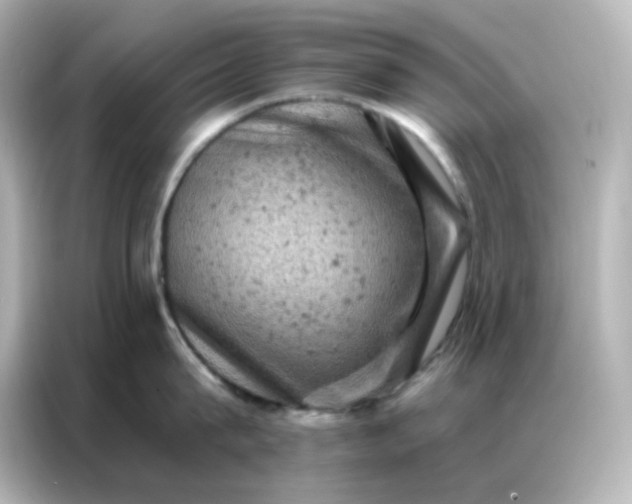 X0000087000815200704301356