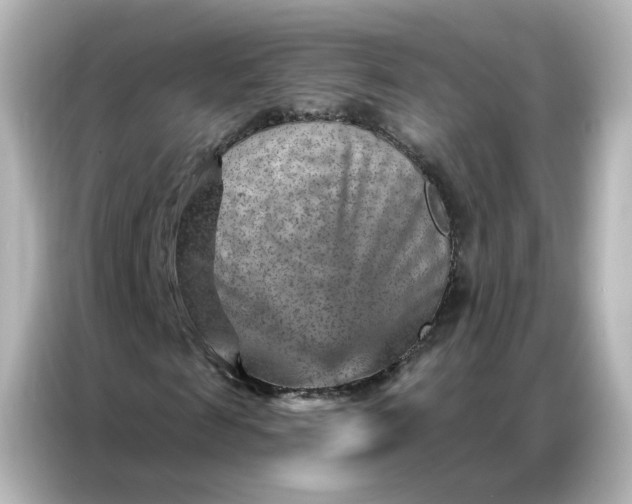 X0000087000817200704301355