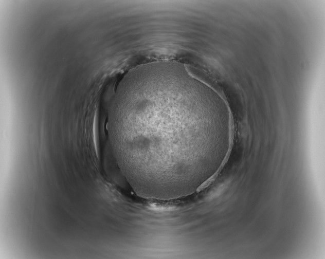 X0000087000818200704301355