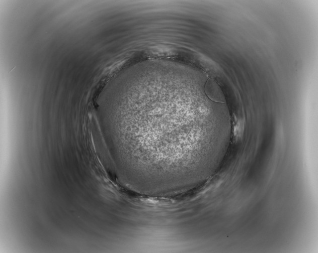 X0000087000819200704301356