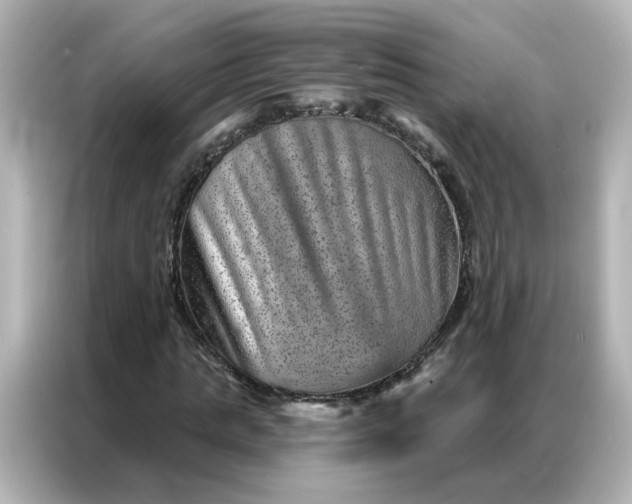 X0000087000821200704301356