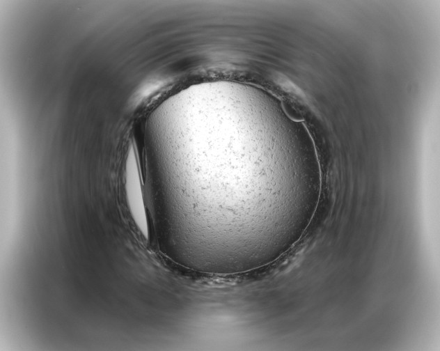 X0000087000822200704301356