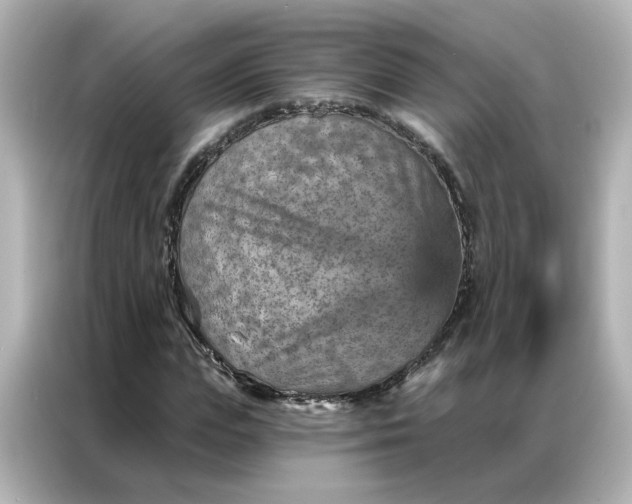 X0000087000823200704301356