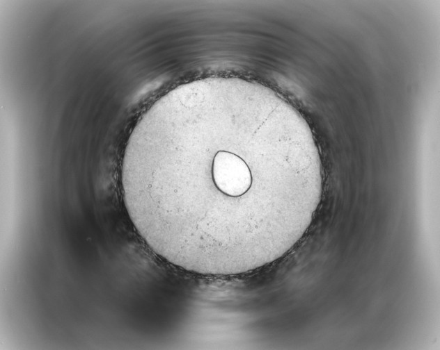 X0000087000824200704301356