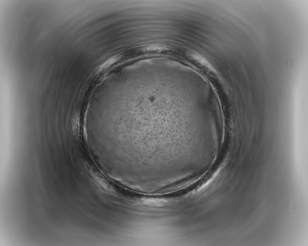 X0000087000825200704301356
