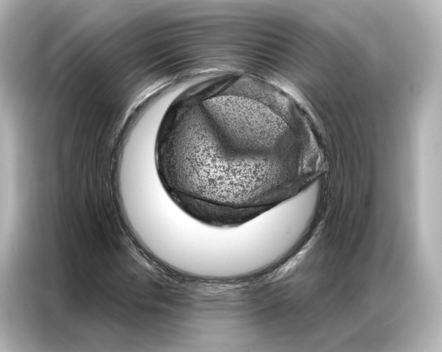 X0000087000826200704301356