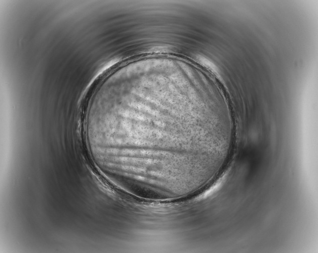 X0000087000827200704301356