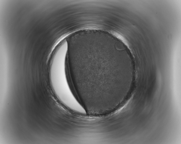 X0000087000829200704301356