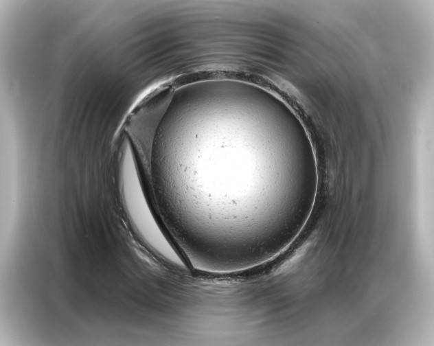 X0000087000830200704301356
