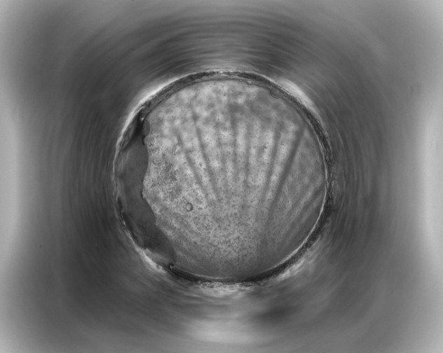 X0000087000831200704301356