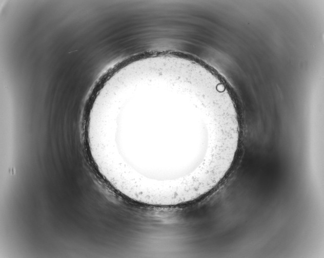 X0000087000832200704301356