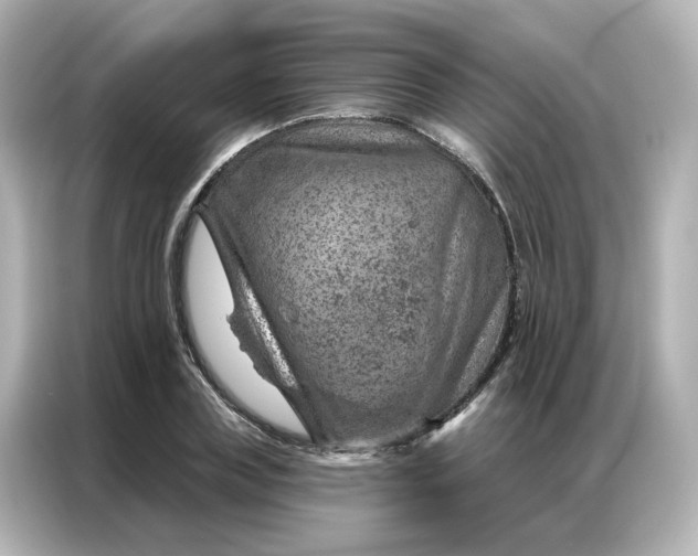X0000087000835200704301356