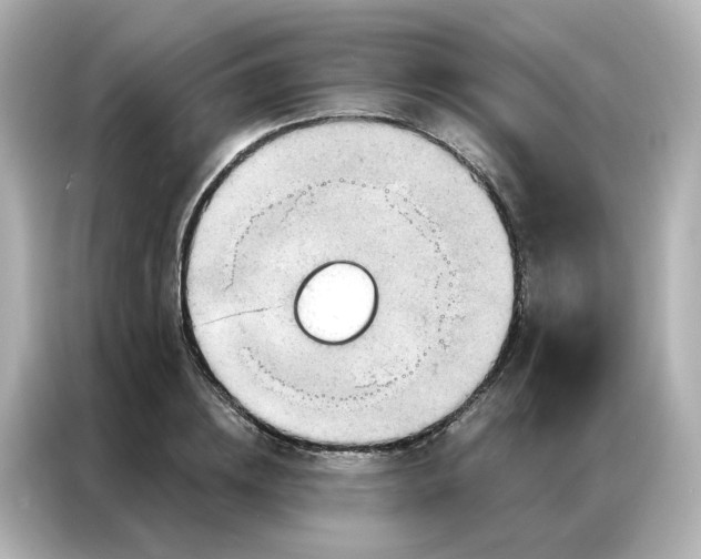 X0000087000836200704301356