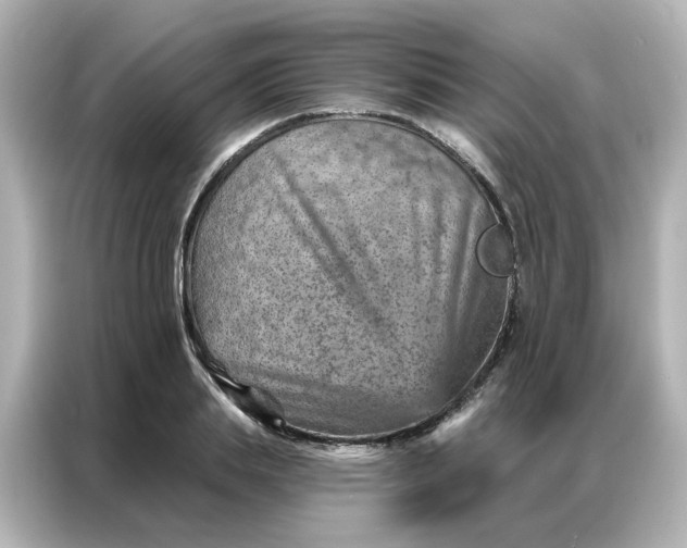 X0000087000839200704301356