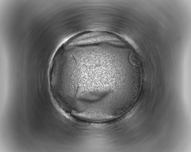 X0000087000840200704301356