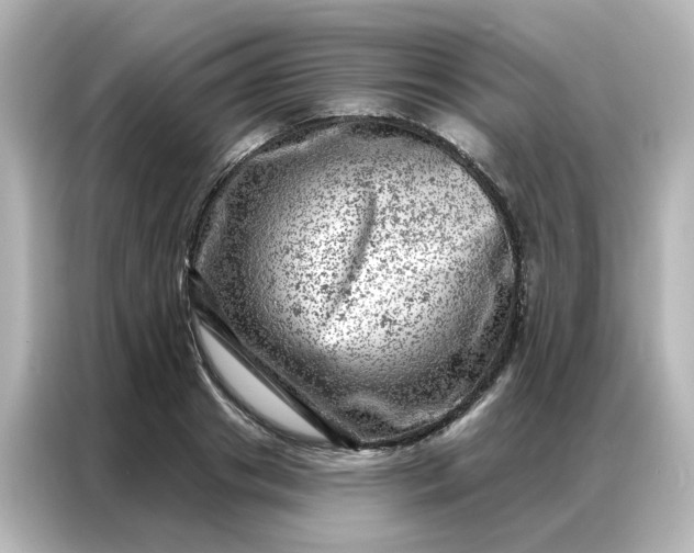 X0000087000841200704301356