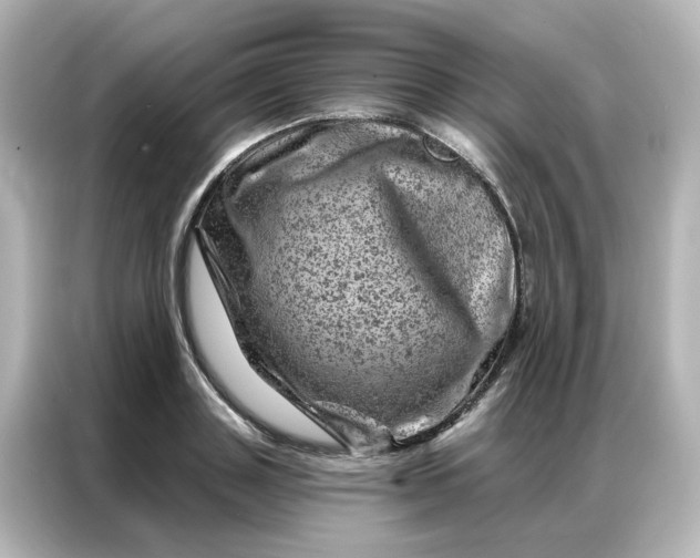 X0000087000843200704301356