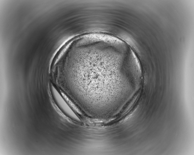 X0000087000844200704301356