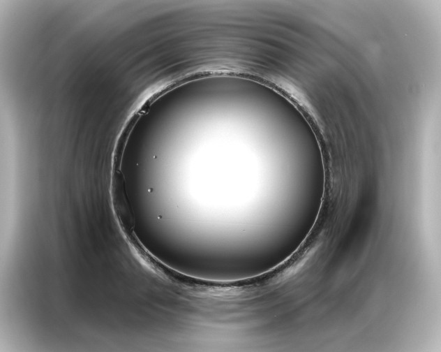 X0000087000845200704301356