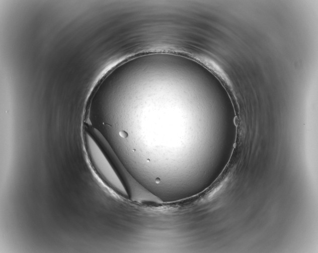 X0000087000847200704301356
