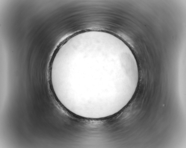 X0000087000848200704301356