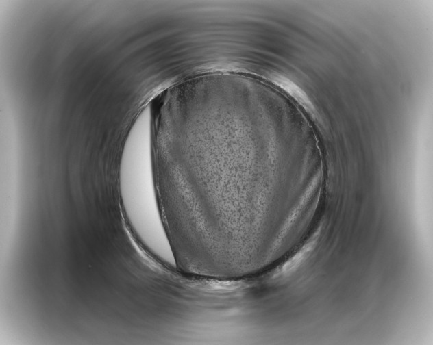 X0000087000849200704301356