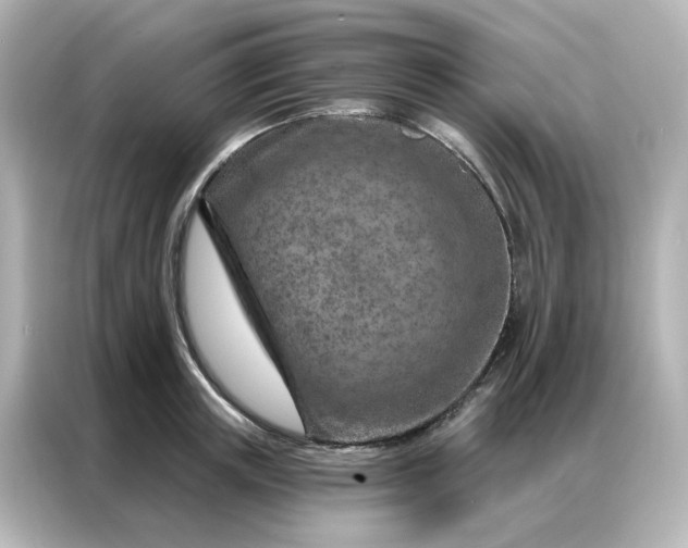 X0000087000851200704301356