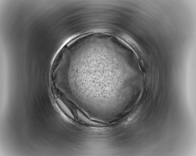 X0000087000852200704301356