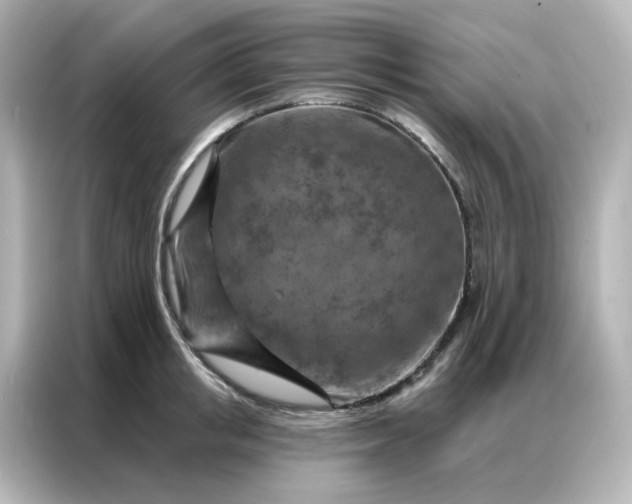 X0000087000853200704301356