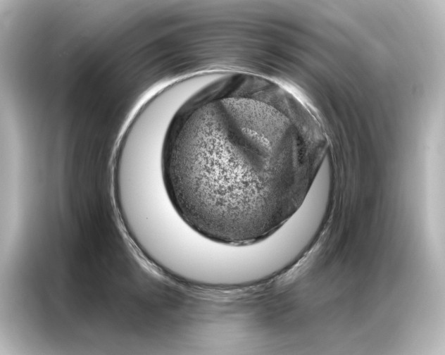 X0000087000854200704301356