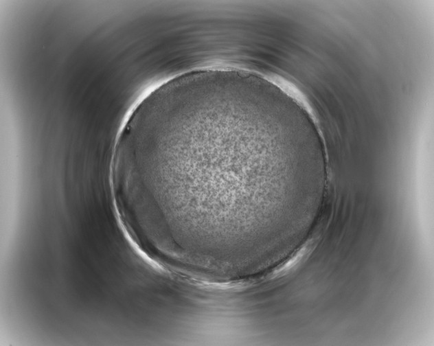 X0000087000855200704301356