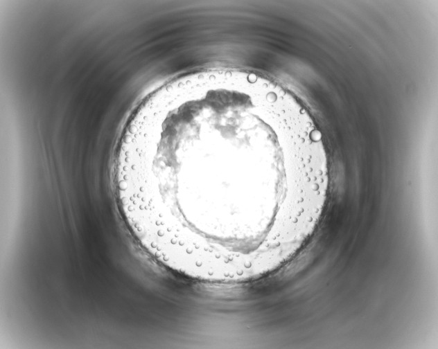 X0000087000856200704301356