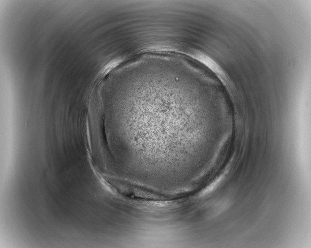 X0000087000857200704301356