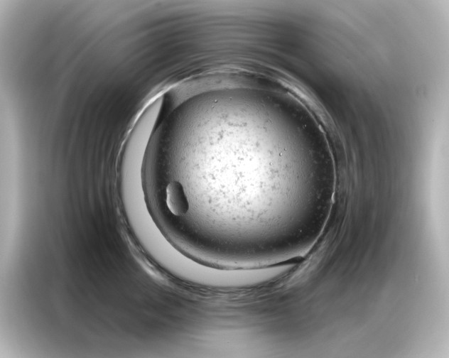 X0000087000858200704301356
