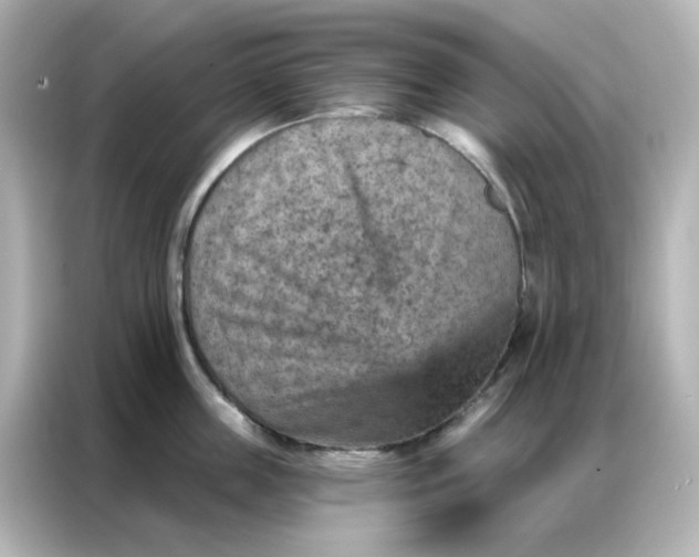 X0000087000859200704301356