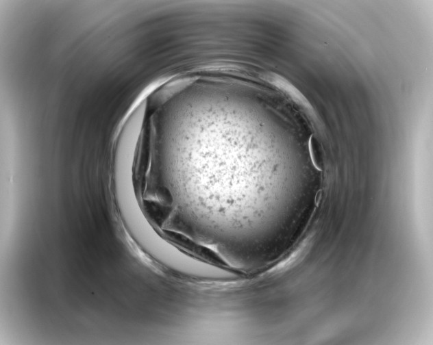 X0000087000860200704301356