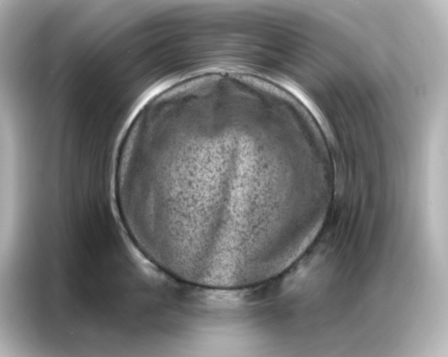X0000087000861200704301356