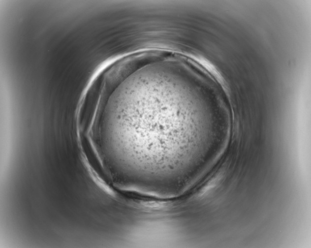 X0000087000862200704301356