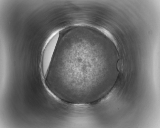 X0000087000863200704301356