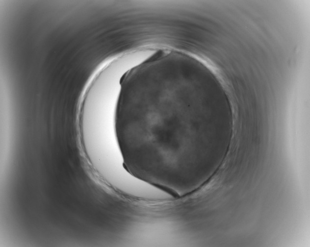 X0000087000864200704301356