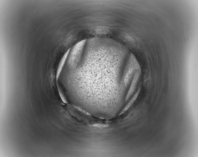 X0000087000866200704301355