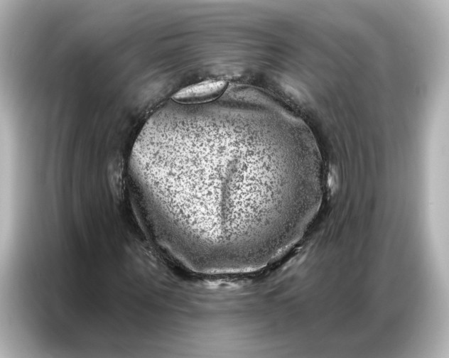X0000087000867200704301355