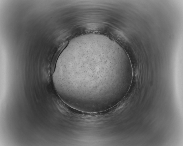 X0000087000868200704301355