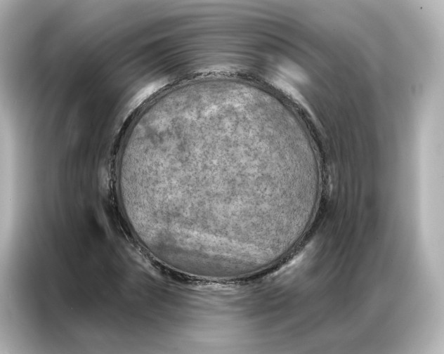 X0000087000874200704301355